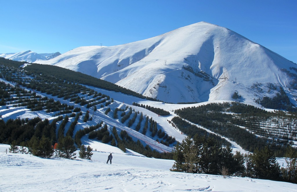 Erzurum Havalimanı